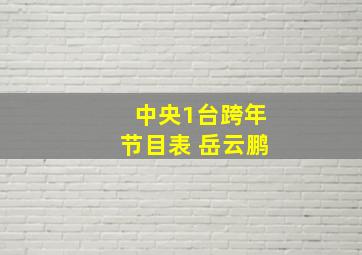 中央1台跨年节目表 岳云鹏